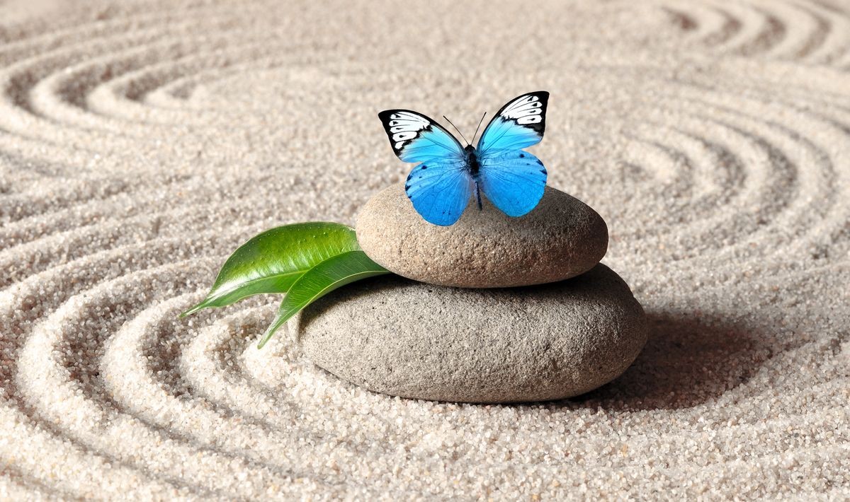 A blue vivid butterfly on a zen stone with circle patterns in the grain sand.